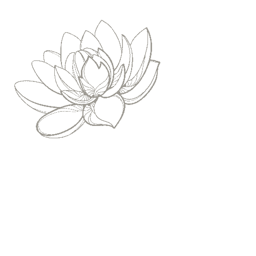 the lotus bloom co.