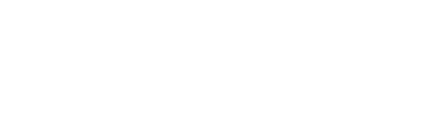 the lotus bloom co.